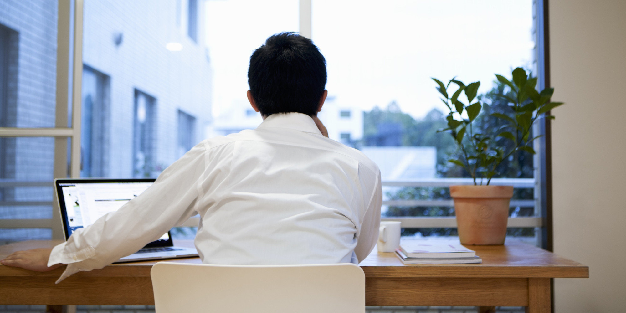 Benefits of Desk Plants