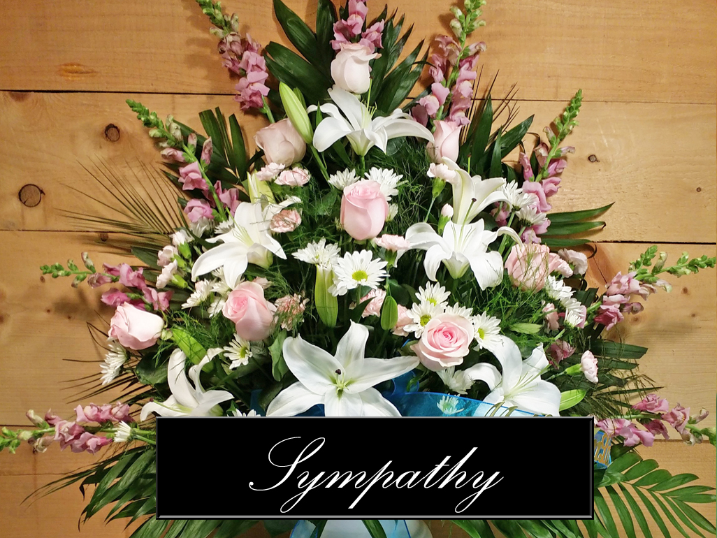 sympathy-gallery.jpg